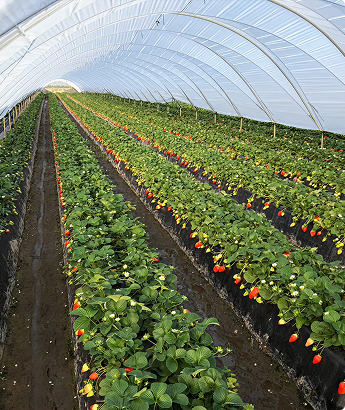 Farm
  renaturalisation