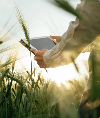 Monitoring
   and digital innovation